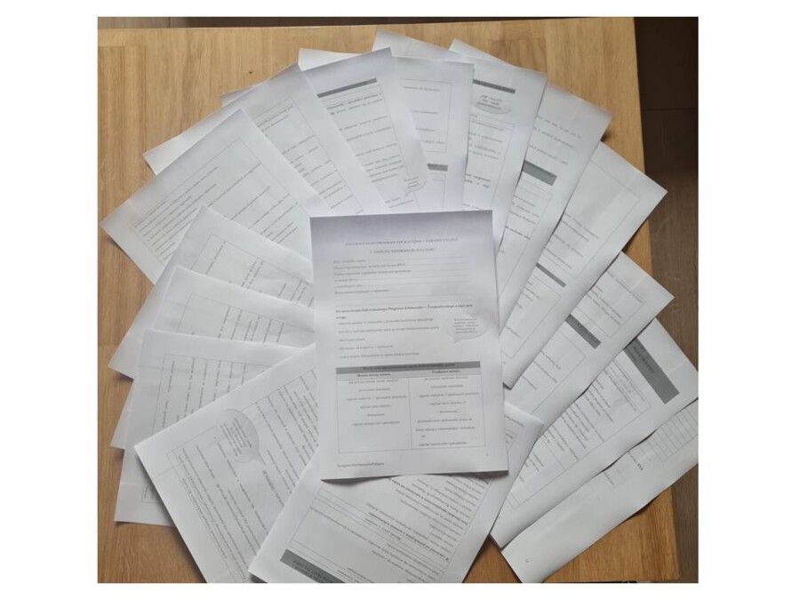 IPET. Indywidulany program edukacyjno - terapeutyczny.