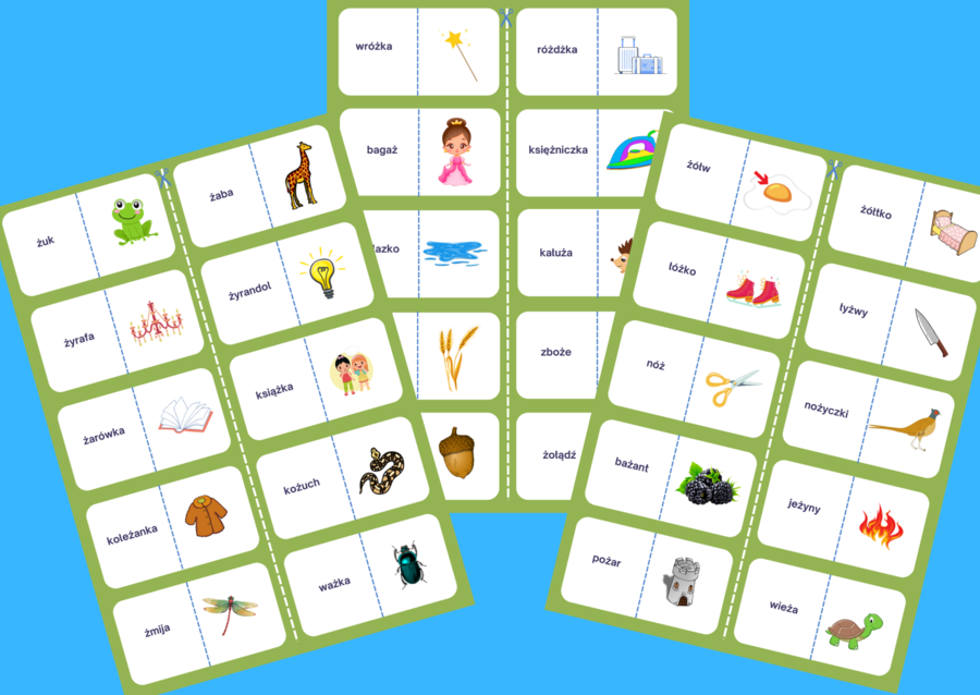 Domino – ORTOGRAFIA – wyrazy z "ż"