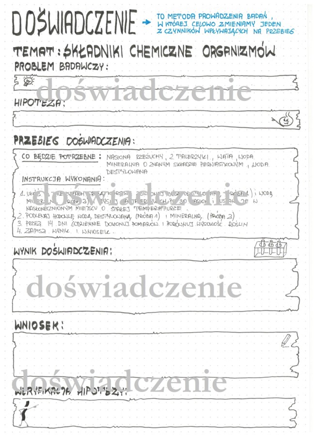 Doświadczenie - wpływ pierwiastków na rozwój rzeżuchy