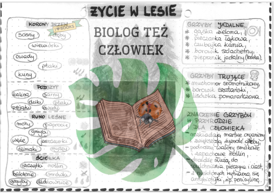 Życie w lesie - szarość