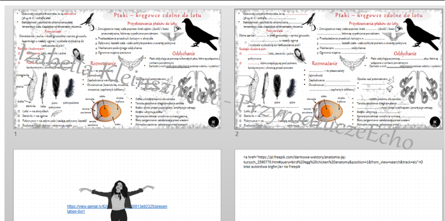 Mini zestaw do tematu „Ptaki – kręgowce zdolne do lotu’ – sketchnotka i karta pracy w pdf + gratisowy link do prezentacji multimedialnej niekomercyjnej wykonanej w genial.ly do indywidualnego pobrania i użycia do celów niekomercyjnych. Biologia 6, dział 