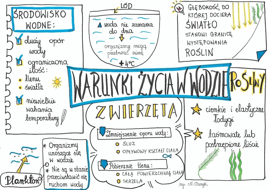 Warunki życia w wodzie