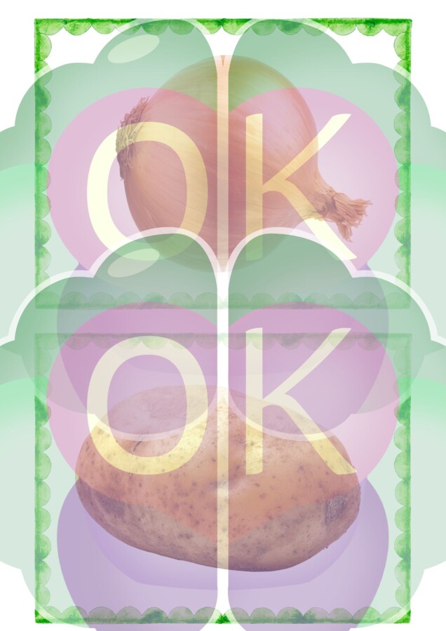 The Hungry Dragon: Wierszykowana lekcja o warzywach (38 stron)