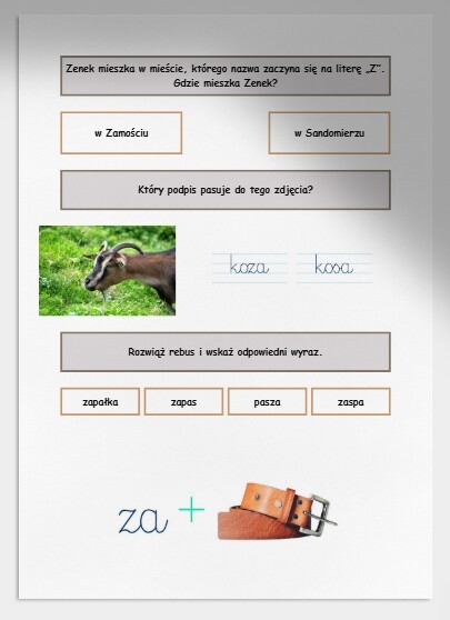 Z i z. Karta pracy. Sprawdzian