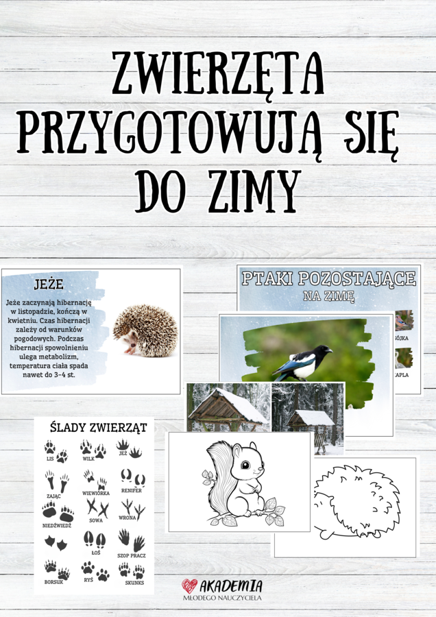 Zestaw ZWIERZĘTA PRZYGOTOWUJĄ SIĘ DO ZIMY
