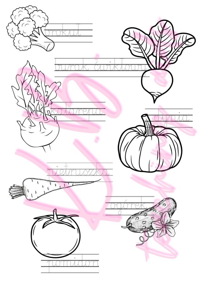 Jesień w polu i ogrodzie