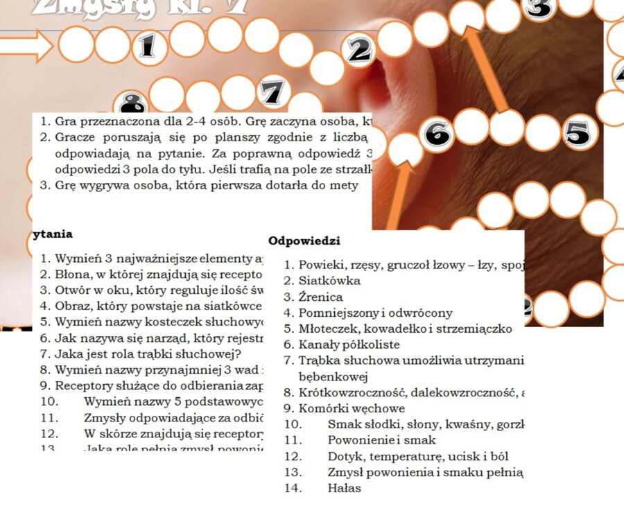 Narządy zmysłów- gra planszowa dla klasy 7