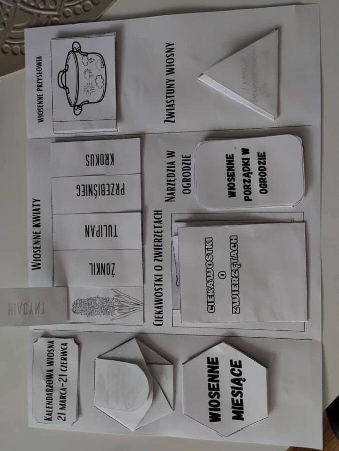 Lapbook wiosna