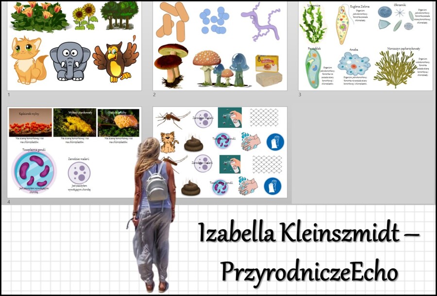 Materiał do zalaminowania/praca w grupach/stacje zadaniowe/układanka/puzzle „Różnorodność protistów” w pdf. Biologia 5, dział „Wirusy, bakterie, prostisty i grzyby”.