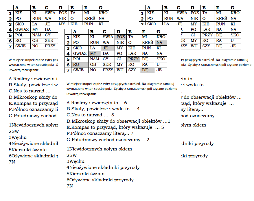 Łamigłówka na podsumowanie działu Poznajemy warsztat przyrodnika- przyroda 4