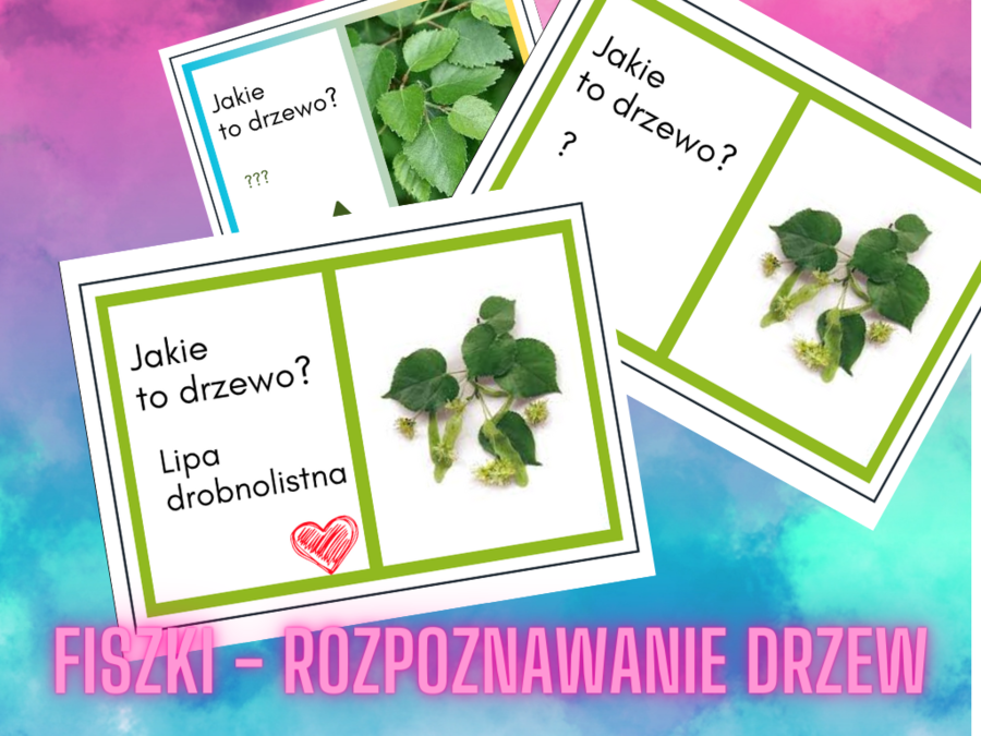 Rozpoznawanie drzew - liście, kora drzew, pokroje