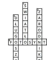 Krzyżówka- mchy, porosty i paprocie