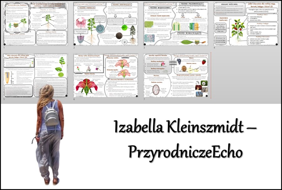 Zestaw sketchnotek/notatek/streszczeń/wklejek/ściąg dla ucznia i nauczyciela w pdf. Biologia 5 dział „Tkanki i organy roślinne”. Notatki zostały wykonane na podstawie podręcznika z wydawnictwa WSiP.