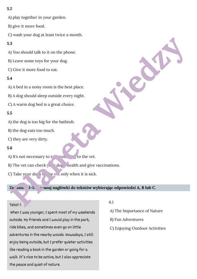 CZYTANIE ZE ZROZUMIENIEM – E8 – Zbiór zadań do egzaminu ósmoklasisty z języka angielskiego. Poziom A2/A2+ – uzupełnienie luk w tekstach, prawda/fałsz, uporządkowywanie zdarzeń, zrozumienie kontekstu zdania