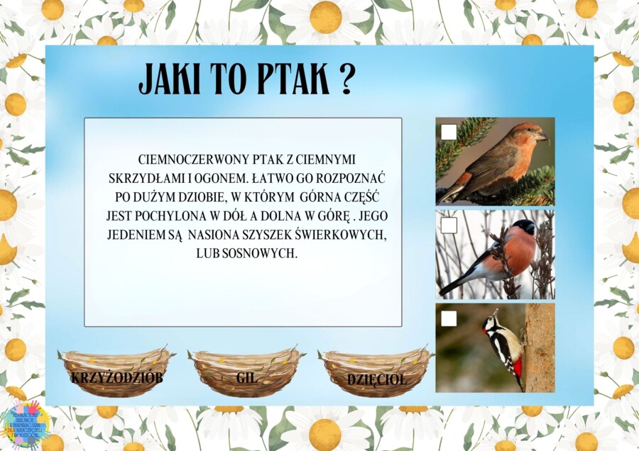 DZIEŃ PTAKÓW - EDUKACYJNA PRZYGODA DLA DZIECI