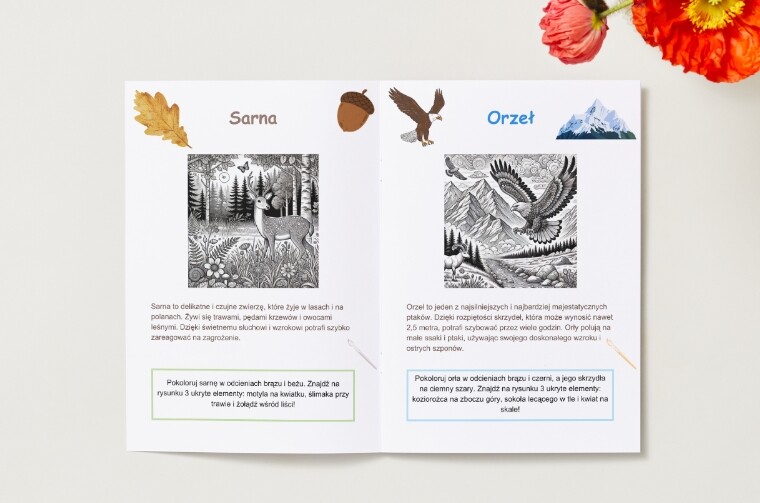 Kolorowanki. Zwierzęta