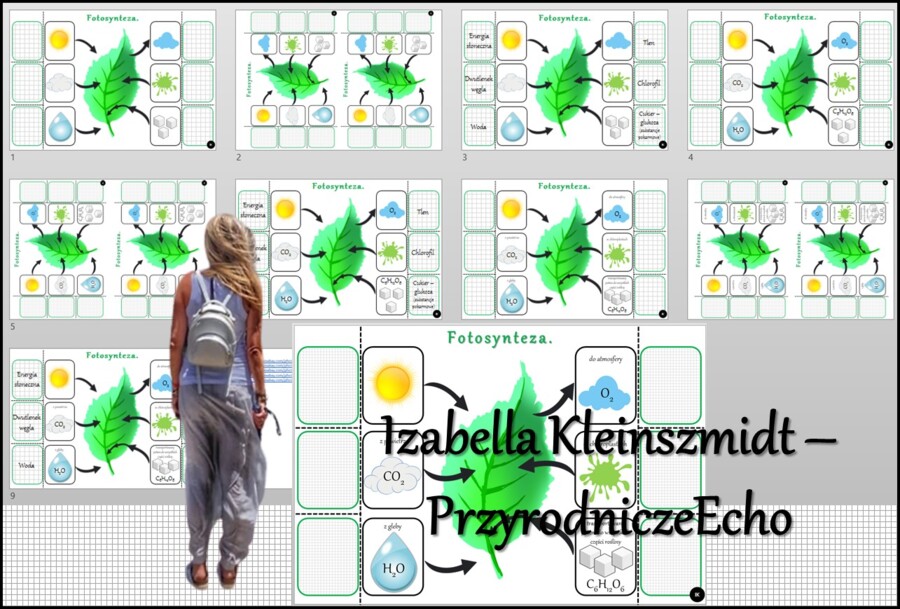 Notatka okienkowa/stacja zadaniowe/notatka interaktywna/notatka graficzna/karta pracy/sketchnotka „Samożywność”, „Fotosynteza” w pdf. Biologia 5, dział „Budowa i czynności życiowe organizmów”. Nowość 2024/2025.