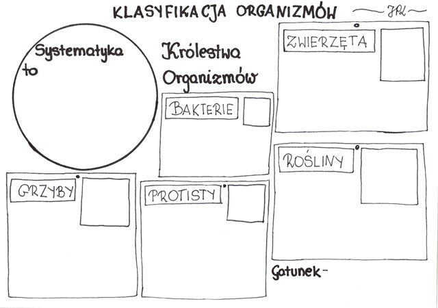 Klasyfikacja organizmów (karta pracy)