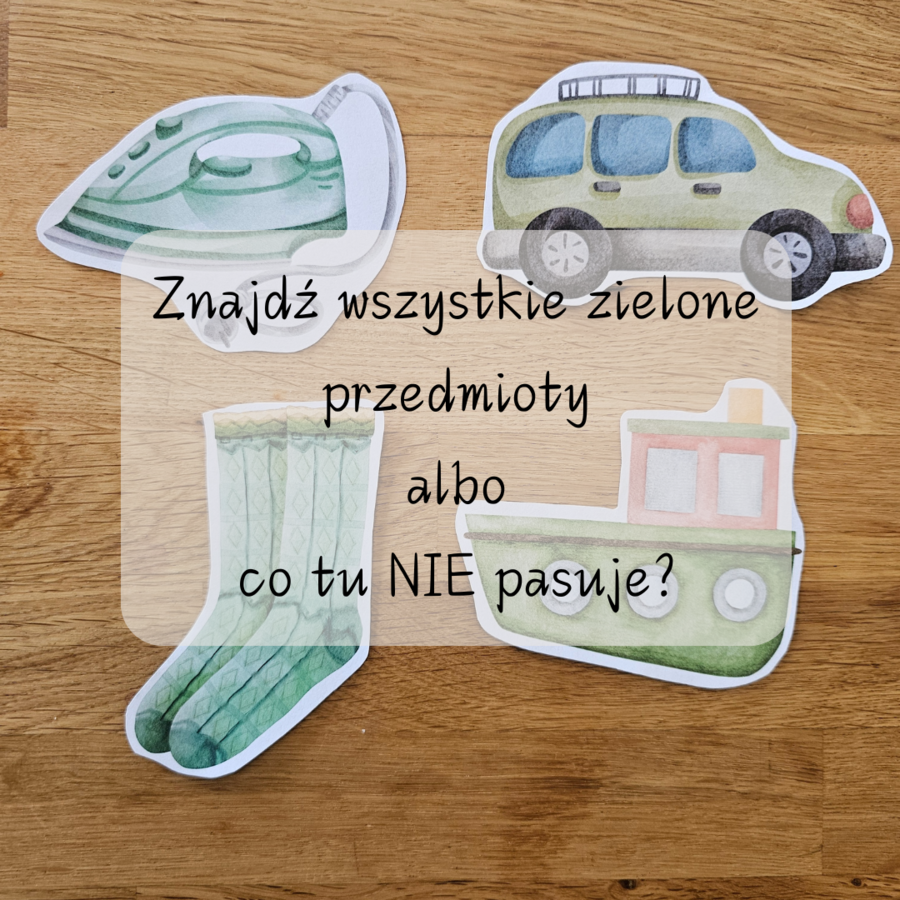 Co tu pasuje? Kategoryzacje | logopedia | pedagogika specjalna | rozwój dziecka