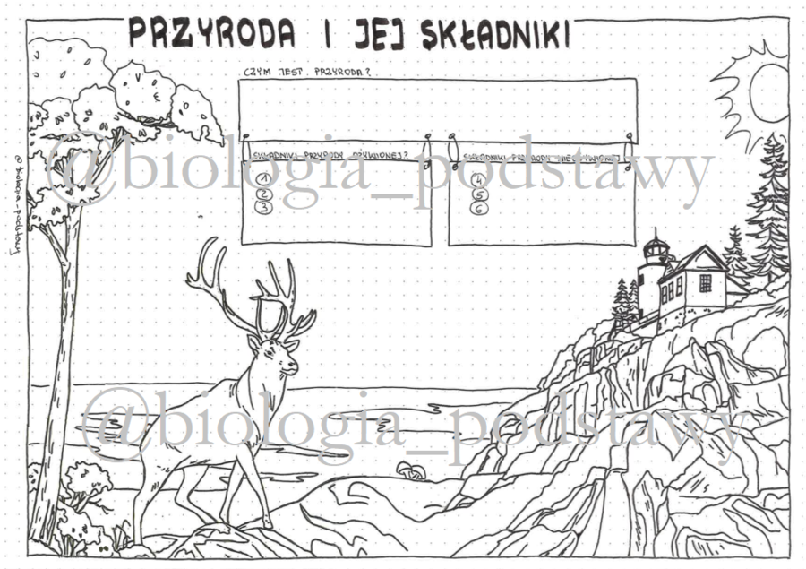 Klasa 4 - Przyroda i jej składniki - KP