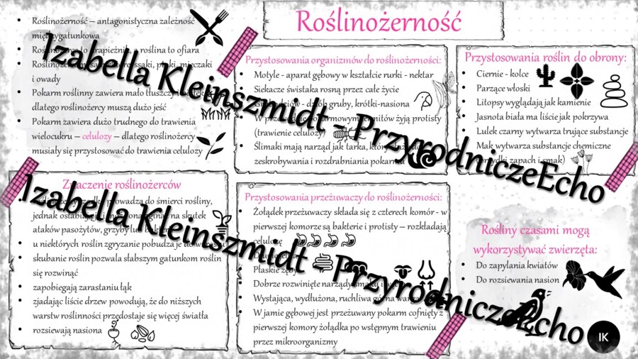 Sketchnotka - notatka „Roślinożerność” wykonana w power point do edycji. Biologia 8; „EKOLOGIA”