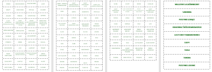 KRAJOBRAZY KULI ZIEMSKIEJ - UKŁADANKA