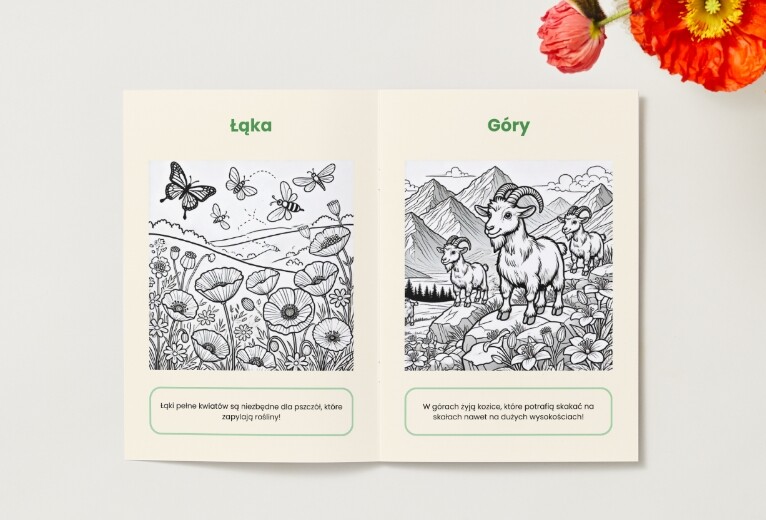 Kolorowanki. Zwierzęta. Rośliny. Grzyby. Ekosystemy