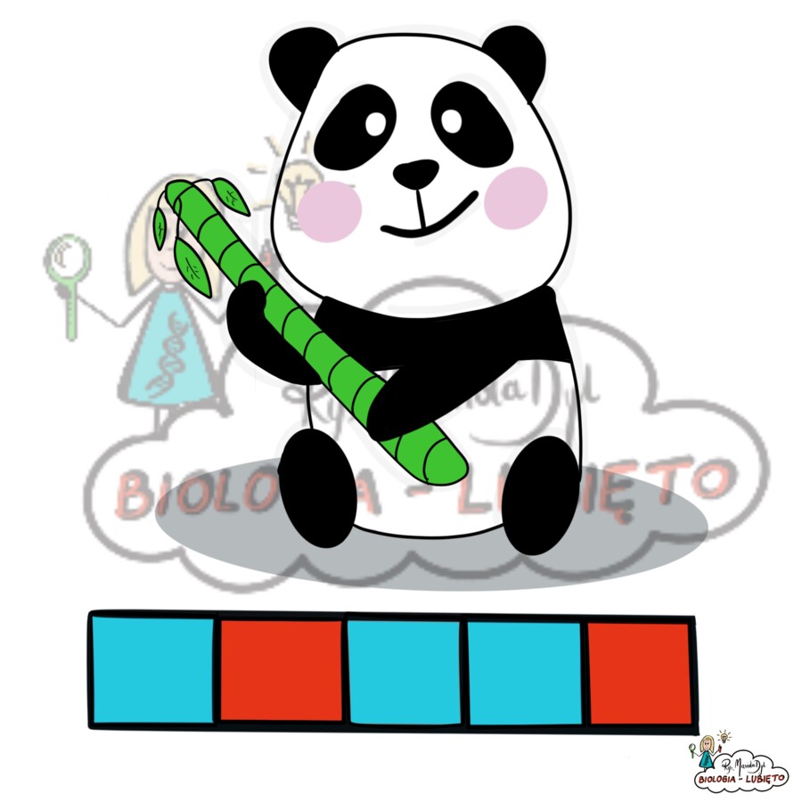 "Dzieciaki lubią zwierzaki" - karty pracy dla najmłodszych . Part.1