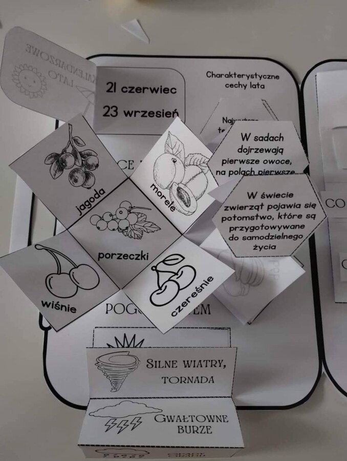 Lapbook WAKACJE+LATO
