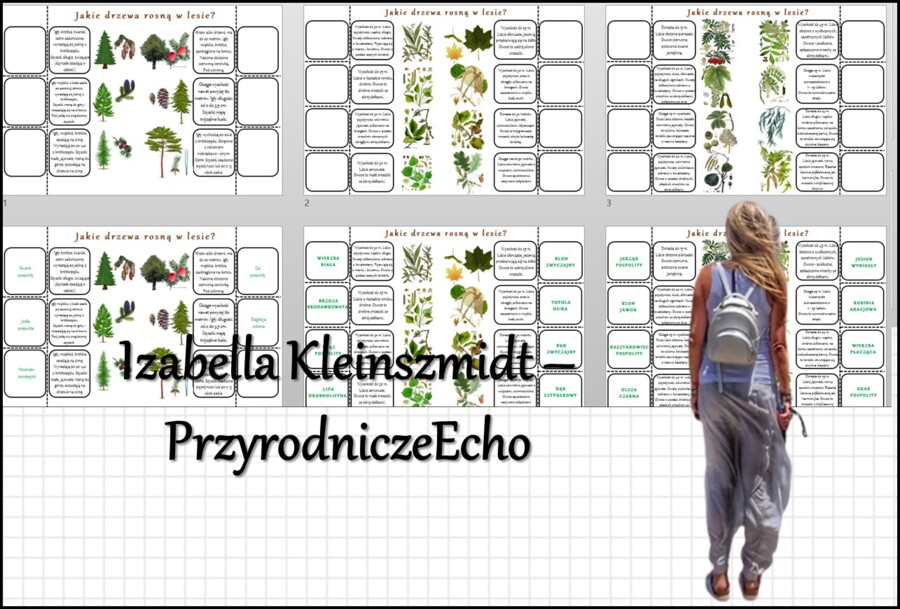 Notatki okienkowe/stacje zadaniowe/notatki/notatki graficzne/karty pracy/sketchnotki „Jakie drzewa rosną w lesie?” w pdf. - Przyroda 4, dział „Odkrywamy tajemnice życia w wodzie i na lądzie”.