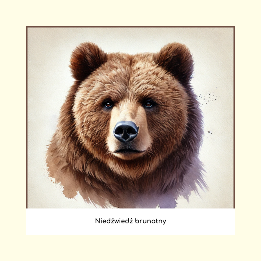 Ekologiczne memory (gra edukacyjna)