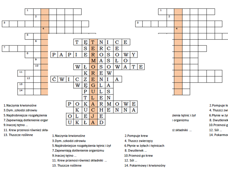Logogryf na podsumowanie lekcji o układzie krwionośnym