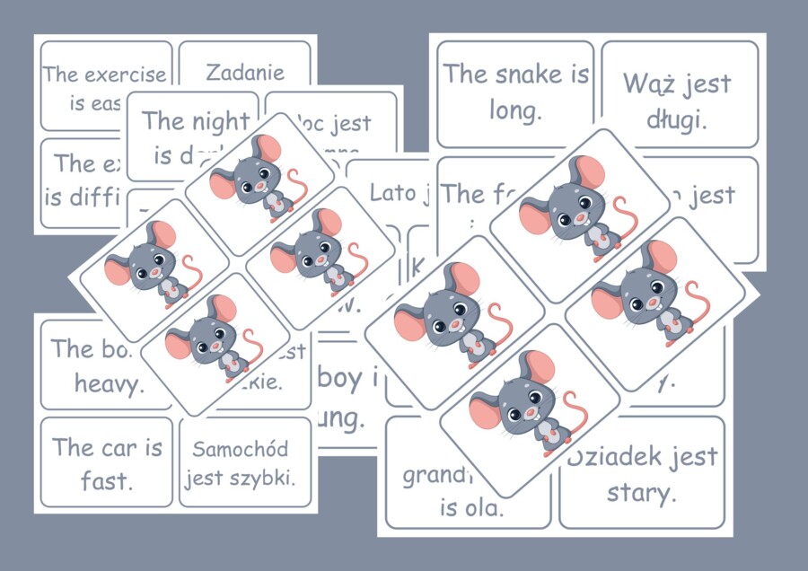 Gra językowa dla dzieci – karty do nauki angielskiego