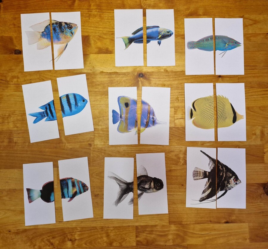 Układanka Montessori - Ryby