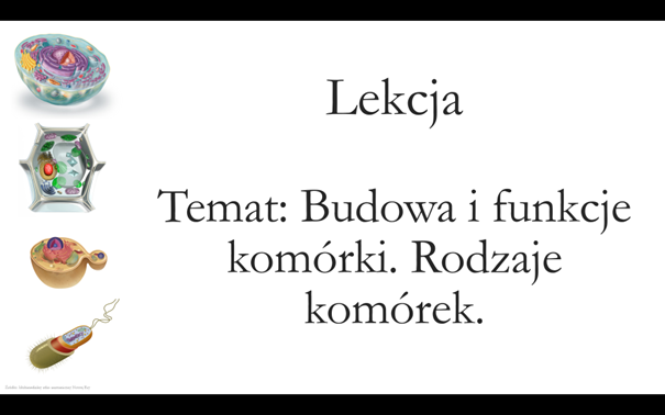 Liceum klasa 1 (rozszerzenie) - Budowa i funkcje komórki - prezentacja
