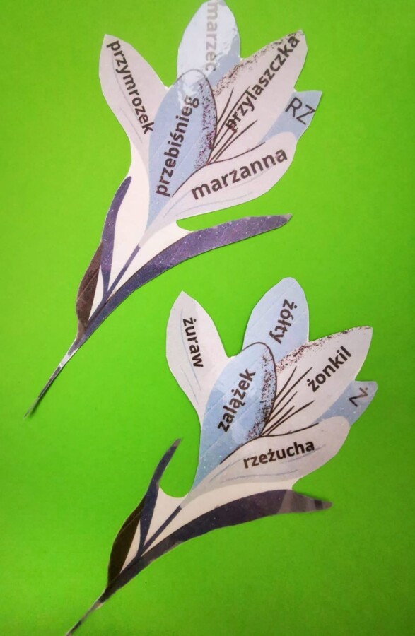 Wiosna, kwiaty, ortografia - puzzle