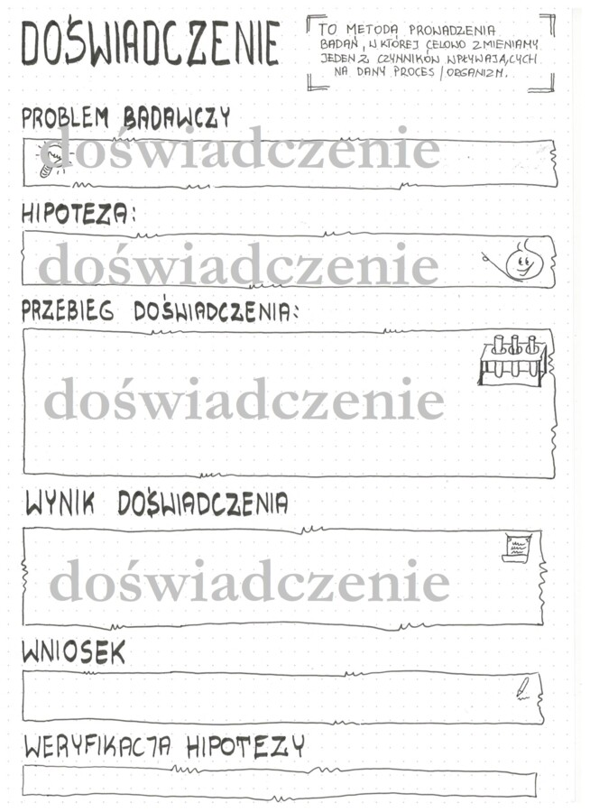 Doświadczenie: karta pracy