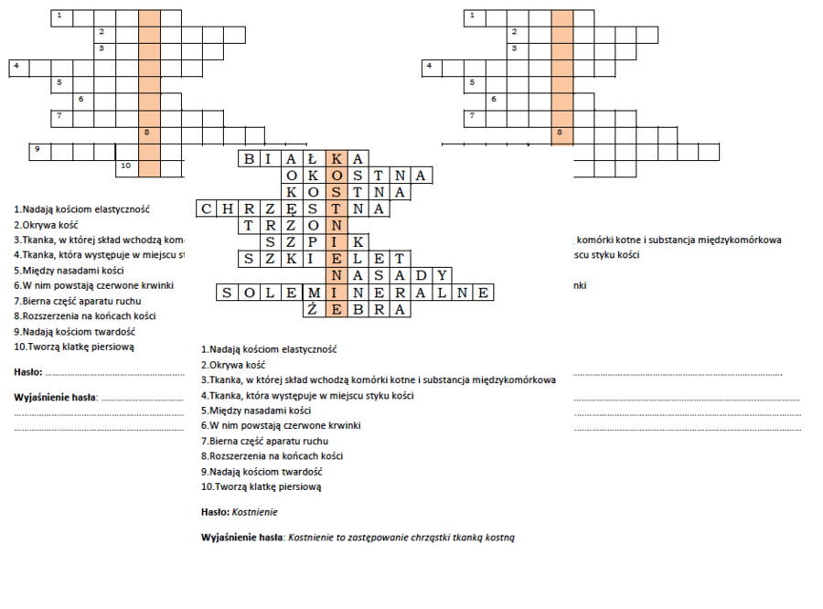 Podsumowanie lekcji biologii w klasie 7 - "Budowa kości"