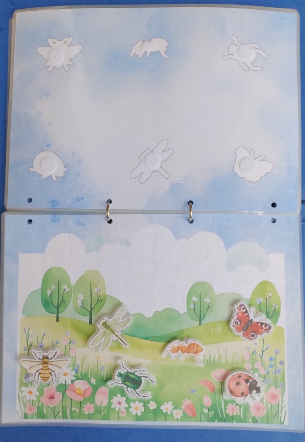 Zwierzęta i ich cienie