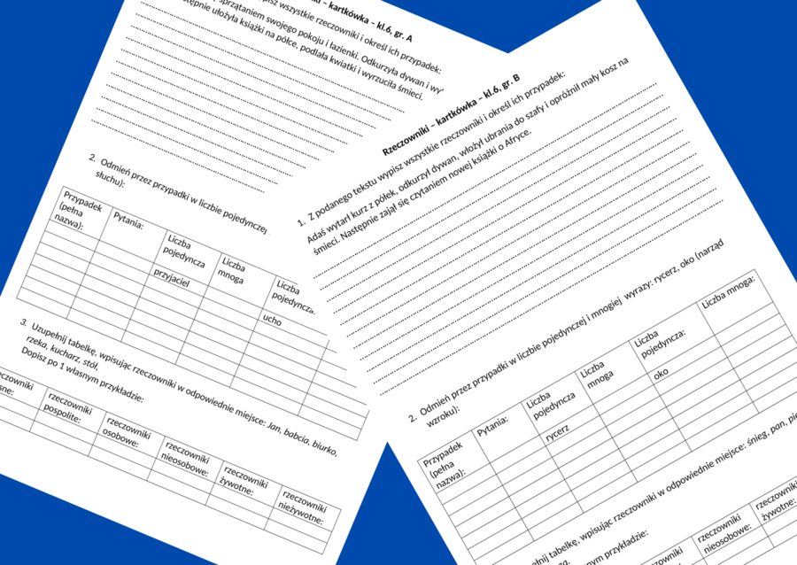 RZECZOWNIK – kartkówka kl.6