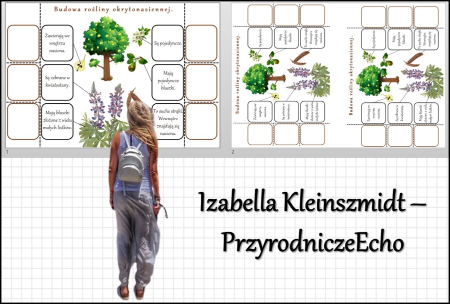 Notatka okienkowa „Budowa roślin okrytonasiennych”, „Okrytonasienne” w pdf. Biologia 5 dział „Różnorodność roślin”.