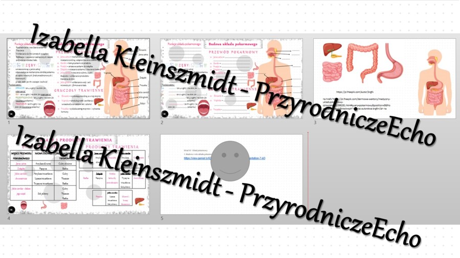 Minizestaw na temat „Budowa i rola układu pokarmowego” – sketchnotka + karta pracy w power point + gratisowy link do prezentacji multimedialnej niekomercyjnej wykonanej w genial.ly do indywidualnego pobrania i użycia do celów niekomercyjnych. Biologia 7,