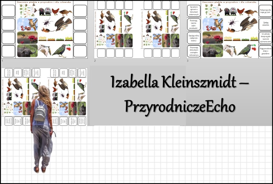 Notatka okienkowa „Znaczenie ptaków” w pdf. Biologia 6 dział „Kręgowce stałocieplne”.