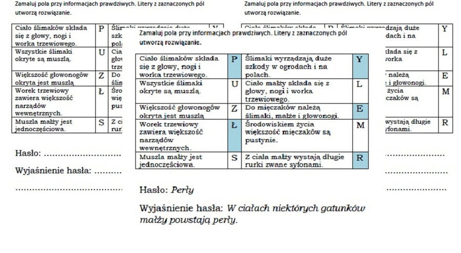 Mięczaki- prawda czy fałsz. Łamigłówka dla klasy VI