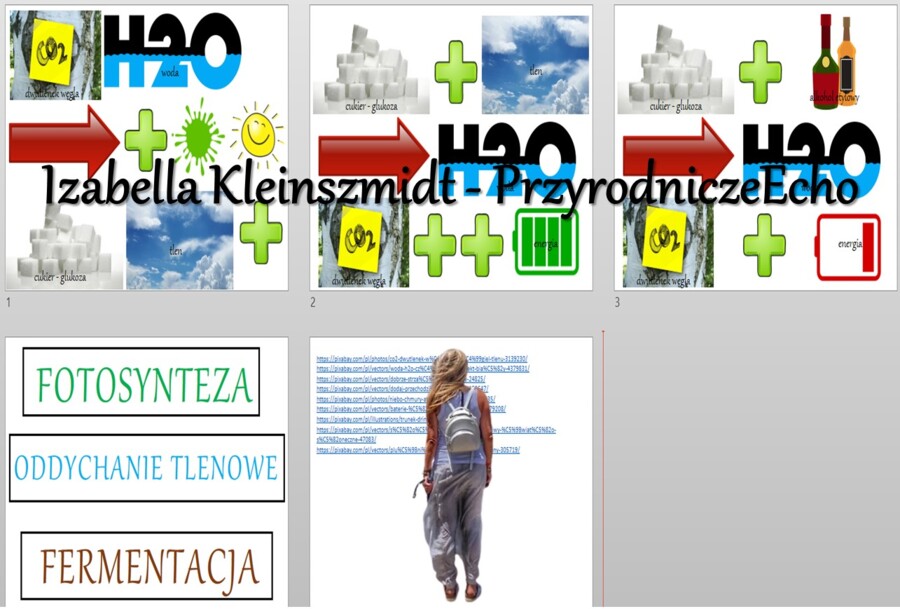 Materiał do zalaminowania/praca w grupach/układanka. „Samożywność”, „Sposoby oddychania organizmów”, „Fotosynteza/Oddychanie/Fermentacja” w pdf. Biologia 5, dział „Budowa i czynności życiowe organizmów”.