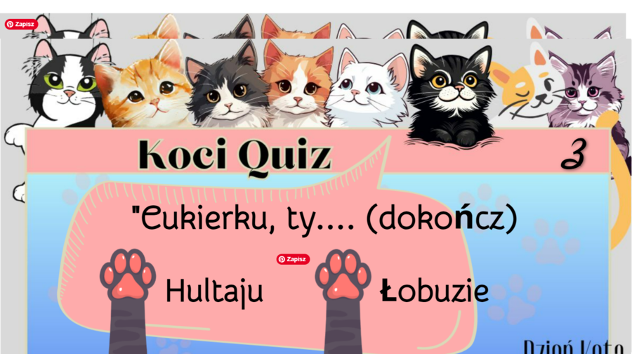 Koci Quiz