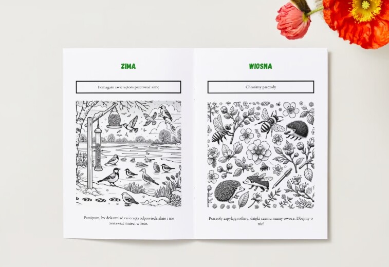 Kolorowanki. Zwierzęta. Rośliny. Ekosystemy.