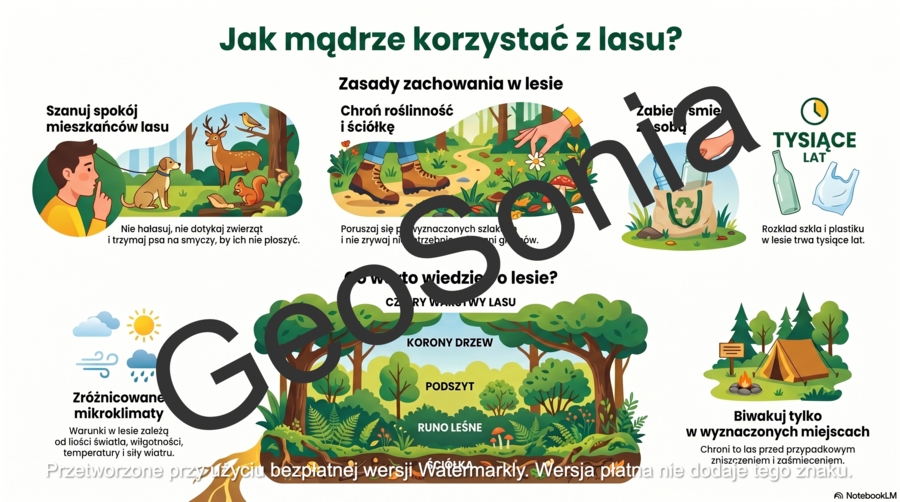Las ma budowę warstwową przyroda klasa4 sketchnotka