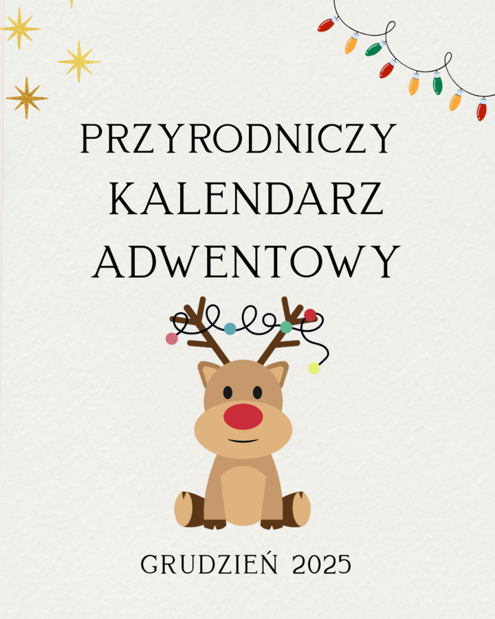 Przyrodniczy kalendarz adwentowy klasy 4-8