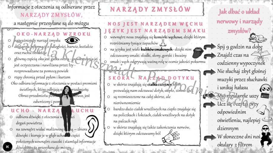 Sketchnotka „Narządy zmysłów” w power point do edycji, PRZYRODA do klasy 4 – dział IV „Odkrywamy tajemnice ciała człowieka”
